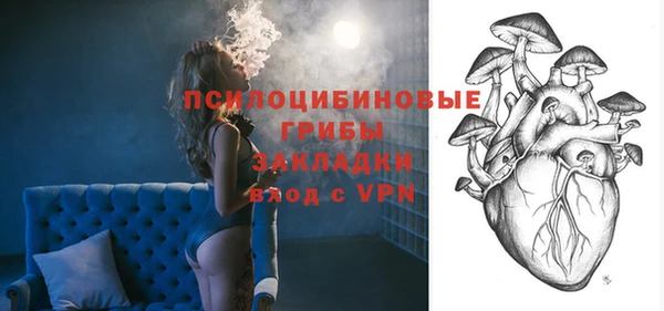 гидропоника Абаза