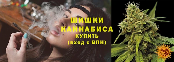 PSILOCYBIN Алексин