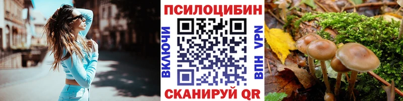 Галлюциногенные грибы Cubensis Белоусово